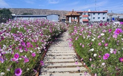 午夜阳光电影高清完整版